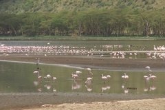 kenia4094