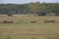 kenia4192