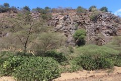 kenia4516