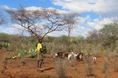 kenia5000