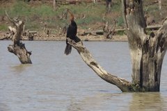 kenia5510