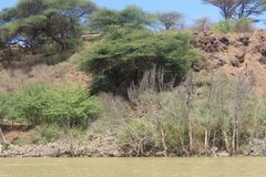 kenia5577