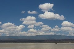 kenia5582