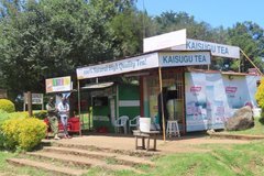 kenia7264