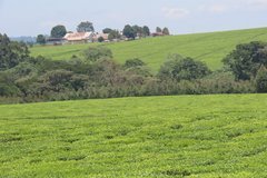 kenia7272