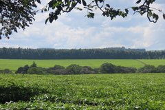 kenia7278