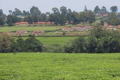 kenia7288