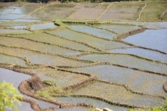 indonesie5089
