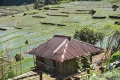 indonesie5092