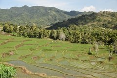 indonesie5093