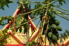 laos0507