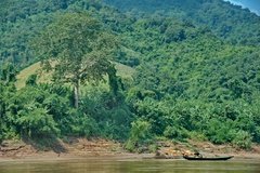 laos1011
