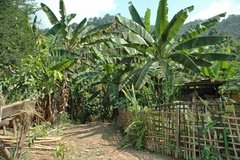 laos1025