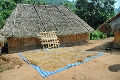 laos1029
