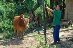 laos1032