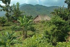 laos1036