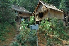 laos3029