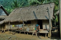 laos3030