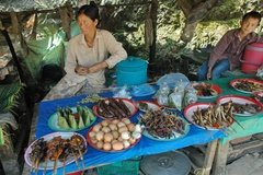 laos3036