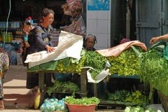 laos3040