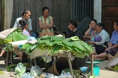 laos3041
