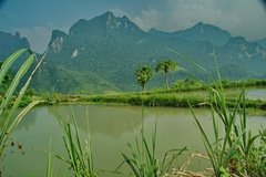 laos3044