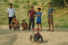 laos3048