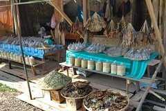 laos3058