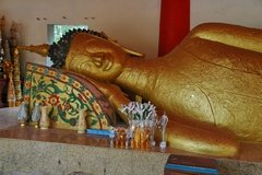 laos5006
