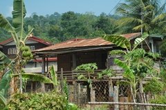 laos5010