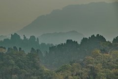 laos5020