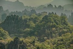 laos5024