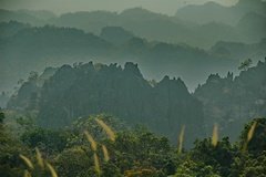 laos5025