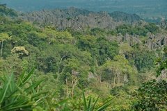 laos5026