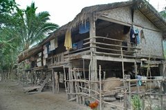 laos5038