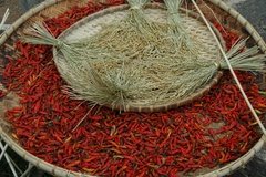 laos5045