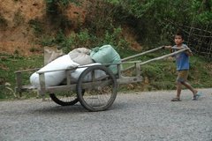 laos5046