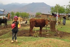 lesotho2508
