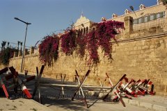 libanon1007