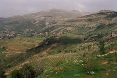 libanon1019