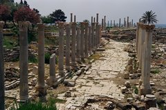 libanon1073