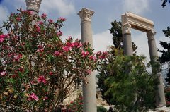 libanon1093