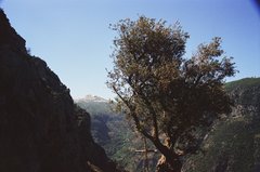 libanon1115