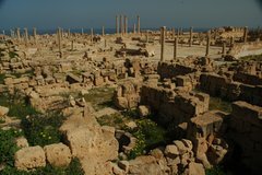 libie1150