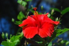 madagaskar2401