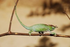 madagaskar2408