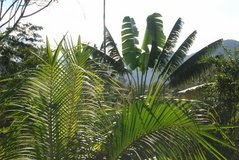 madagaskar2478