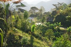 madagaskar2480