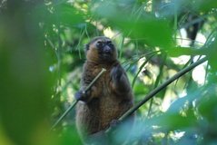 madagaskar2518