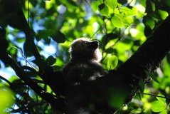 madagaskar2534